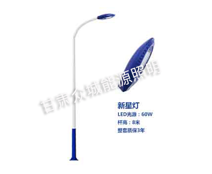 谢通门爆款市电路灯